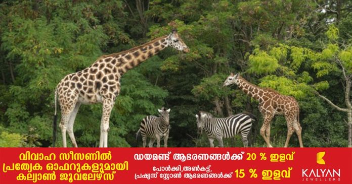 Thrissur_vartha_district_news_nic_malayalam_zoo