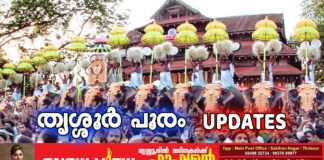 thrissur_pooram_snow_view