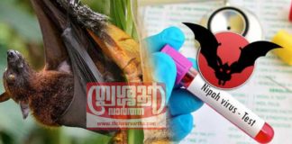 nippa-virus-2021 calicut. news