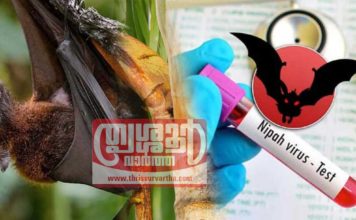 nippa-virus-2021 calicut. news