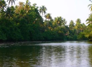 മാലിന്യമില്ലാതെ സുന്ദരിയാവാൻ കുറുമാലി പുഴ..