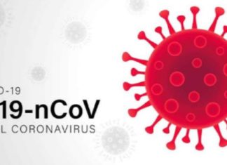 തൃശൂർ ജില്ലയിൽ 11525 പേർ നിരീക്ഷണത്തിൽ..