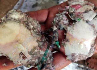 കിണർ വൃത്തിയാക്കുന്നതിനിടെ കിട്ടിയത് അഴുകിയ നോട്ടുകെട്ടുകൾ ഉള്ള ലോക്കർ..