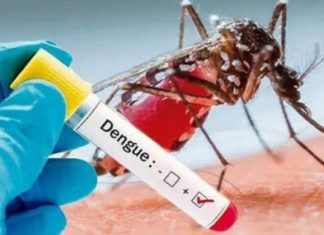 ഡെങ്കിപ്പനി ഭീതിയിൽ വടക്കാഞ്ചേരി..