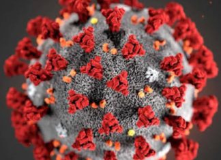 സംസ്ഥാനത്ത് വീണ്ടും കോ വിഡ് മ രണം..