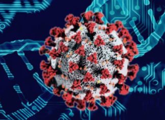 ചാലിശ്ശേരി ഹോട്ട്സ്പോട്ട്; കടവല്ലൂരിൽ കനത്ത ജാഗ്രത..