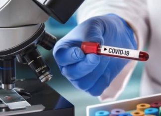 സമൂഹവ്യാപനം പരിശോധിക്കാൻ വേലൂർ പഞ്ചായത്തിൽ ഐസിഎംആർ സർവേ..