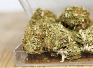 ഇരിങ്ങാലക്കുടയിൽ നിന്നും വൻ ലഹരിശേഖരം പിടിച്ചു