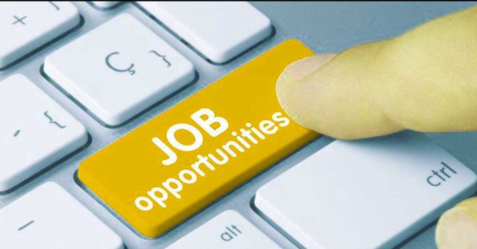 job-opportunity-vaccancy-thozhil