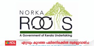norka-roots