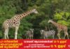 Thrissur_vartha_district_news_nic_malayalam_zoo