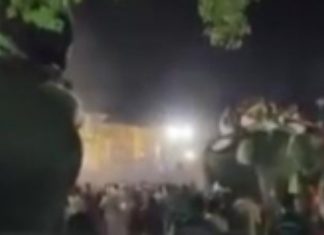 ആനയെ ചൊല്ലി കൂട്ടയടി..