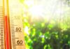 thrissur-weather-temperature vellanikkara